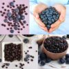 Freeze-dried Blueberries 100 g