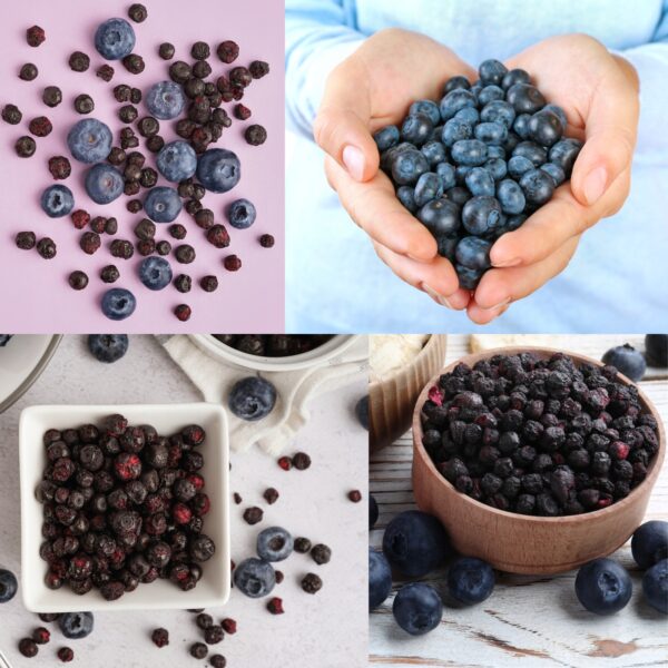Freeze-dried Blueberries 100 g