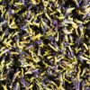 Herbata Niebieska Klitoria Ternateńska 160 g