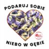 Herbata Niebieska Klitoria Ternateńska 160 g