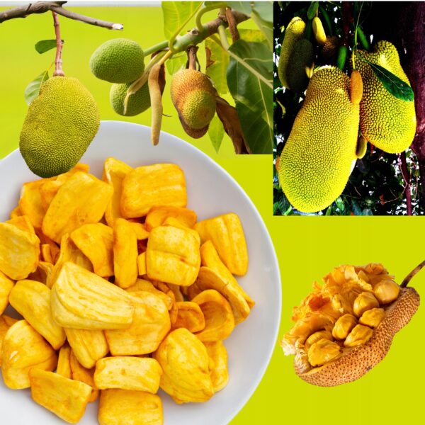 Jackfruit Chipsy Chlebowiec 1000 g