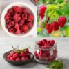 Malina Liofilizowana 100 g