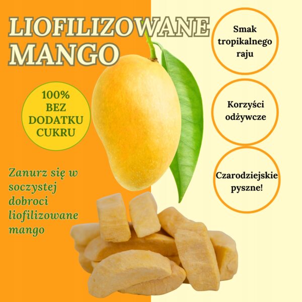 Mango Liofilizowane 100 g