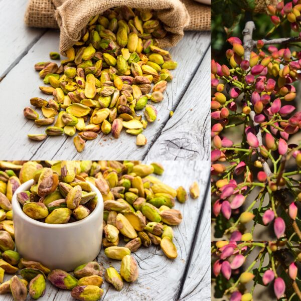 Pistacje Łuskane Surowe Bez Soli 150 g