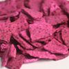 Smoczy Owoc Pitaja Liofilizowana 100 g